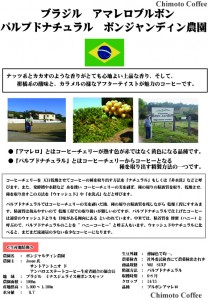 HP用 ブラジル アマレロブルボン