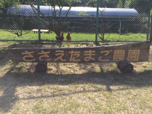 写真 2015-05-08 15 49 55