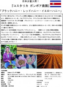 コスタリカ・ブラック・レッド・イエローハニー