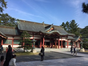 IMG_1384.JPG
