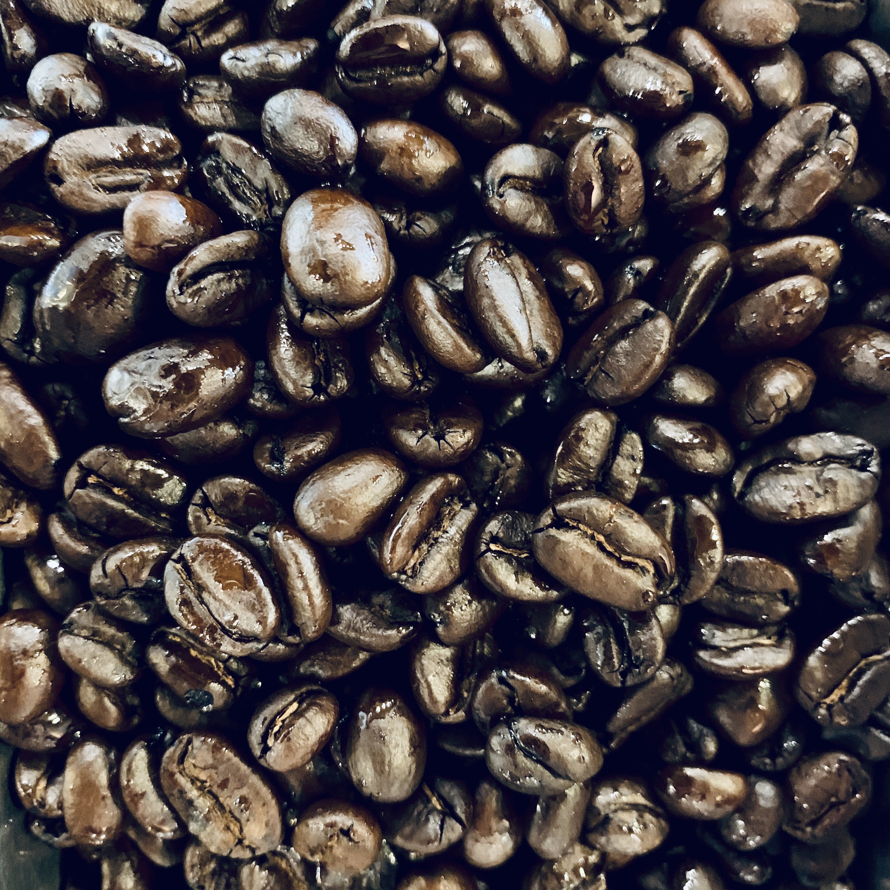 イタリアンブレンド