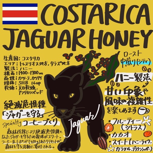 コスタリカ ジャガー ハニー