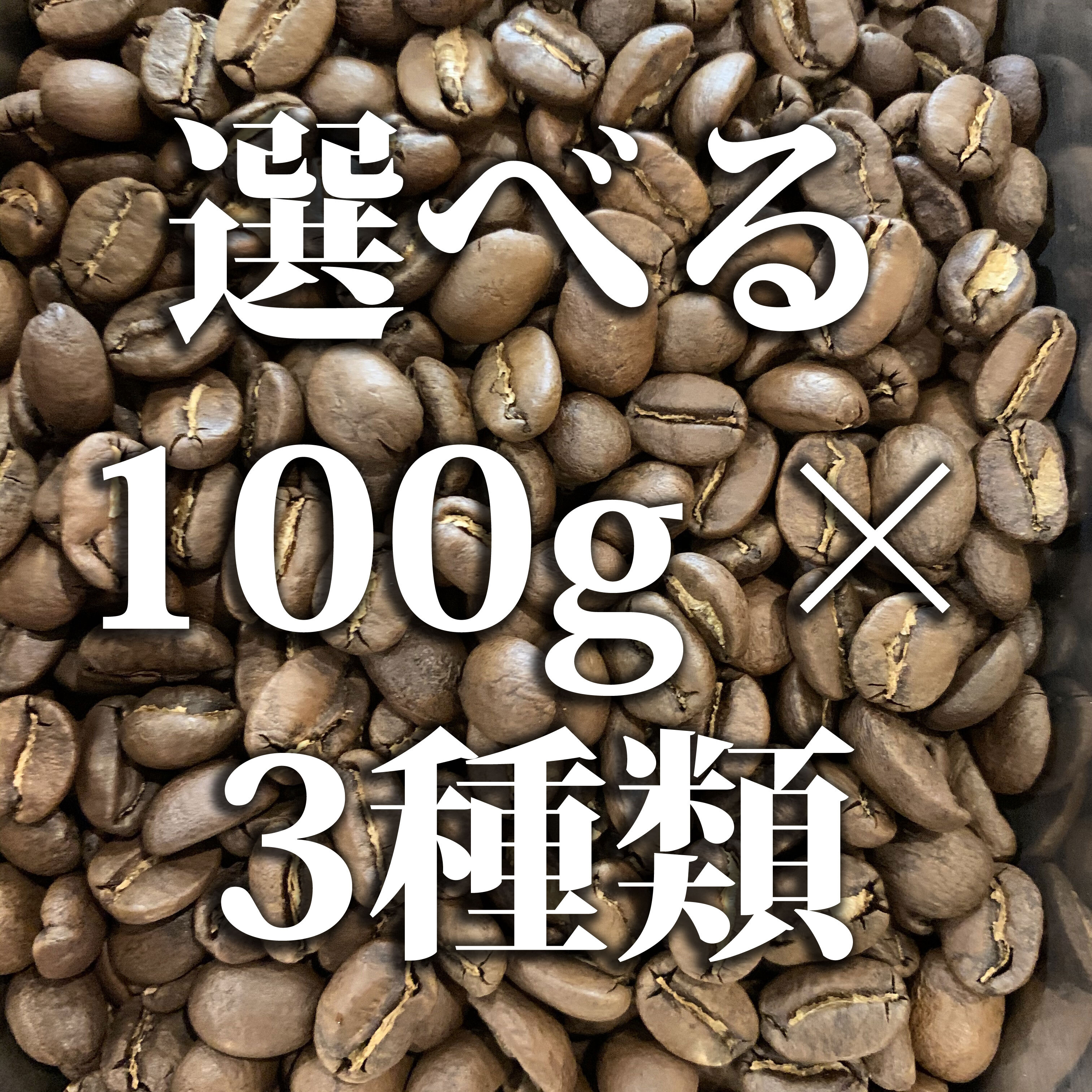 選べる100g×3種セット